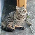 Ve Stodole * Stráž nad Nežárkou