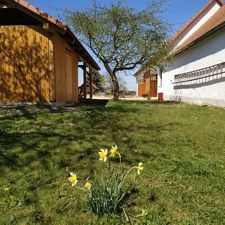 Accommodatie bij particulieren Ve Stodole Stráž nad Nežárkou