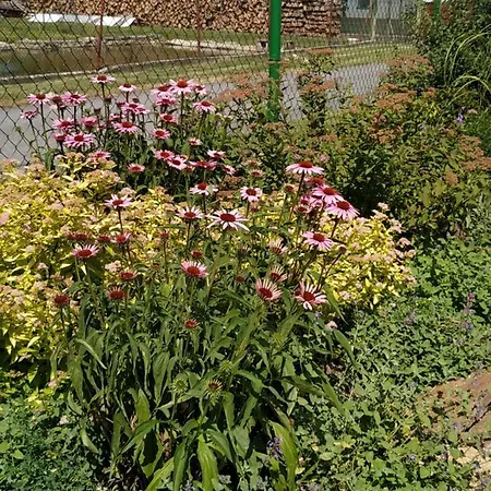 Δωμάτια σε οικογενειακή κατοικία Ve Stodole Stráž nad Nežárkou