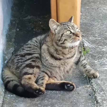 Ve Stodole * Stráž nad Nežárkou