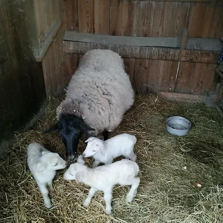 Ve Stodole Δωμάτια σε οικογενειακή κατοικία